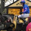 Winning horse & Odds, grand national trial